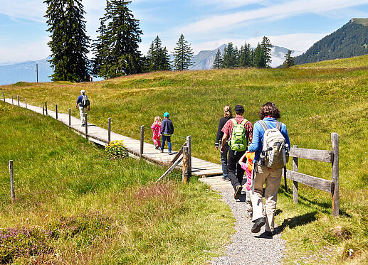 Bei gutem Wetter wandert eine Gruppe einen schmalen Pfad entlang eines Berghangs. In der Ferne ist – hinter einer Gruppe von Bäumen – eine Bergkette zu erkennen.